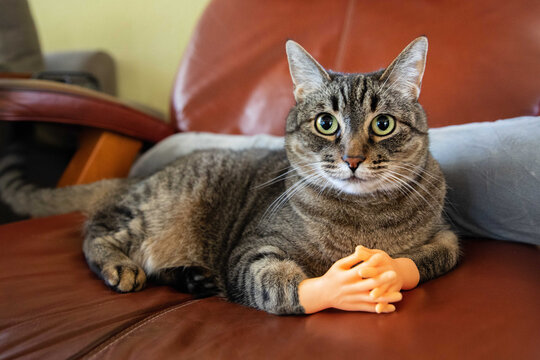 صوره المنتج test